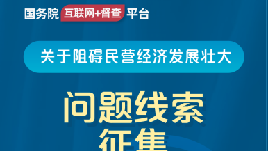 在线大鸡巴强奸美女国务院“互联网+督查”平台公开征集阻碍民营经济发展壮大问题线索